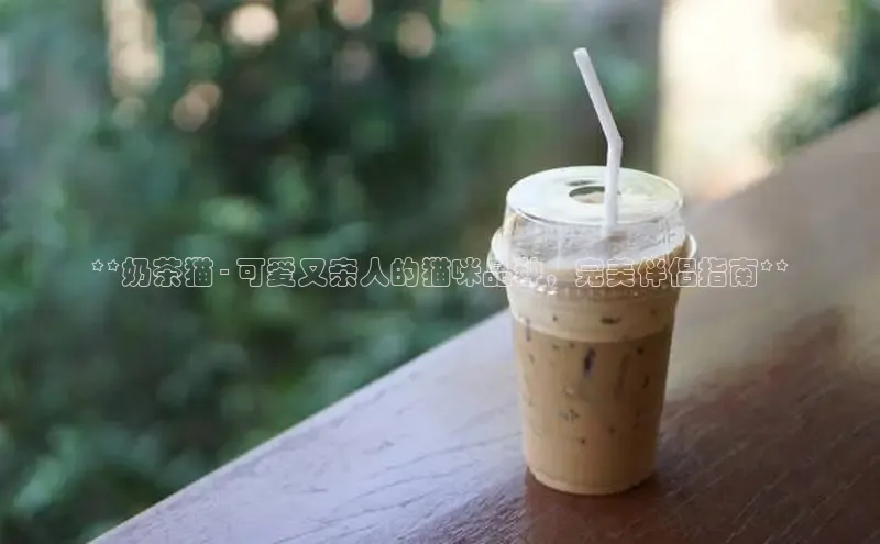 ng28相信品牌的力量登录入口百度手机卫士